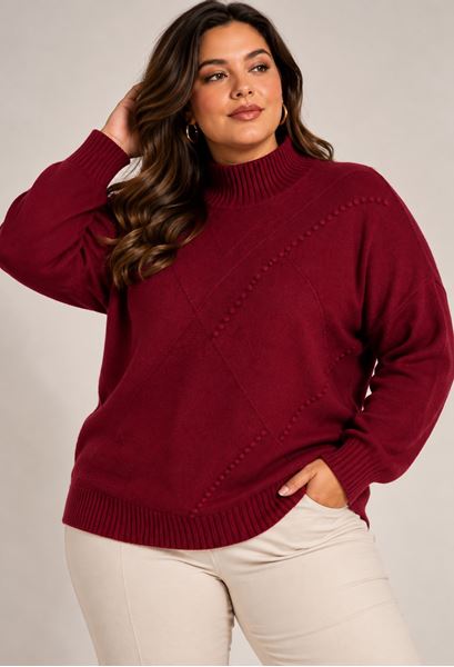 Immagine di PLUS SIZE TURTLE NECK SWEATER